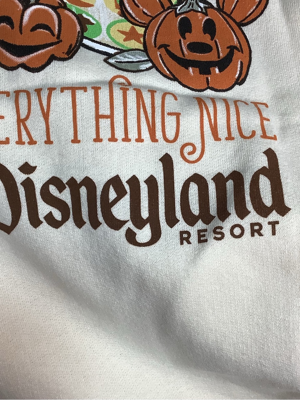 Disneyland Resort ~ Halloween ~ Pumpkin Spice & Everything Nice ~ Sweatshirt M-L - Picture 14 of 16